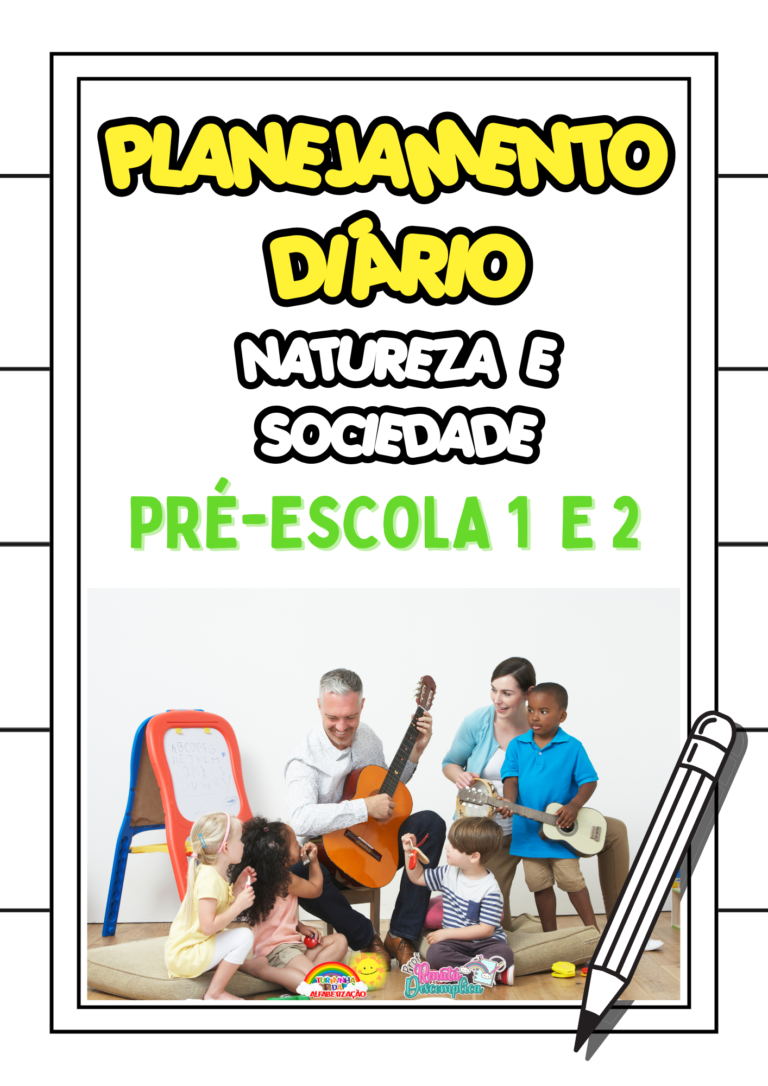 Planos de Aulas Diários (35)