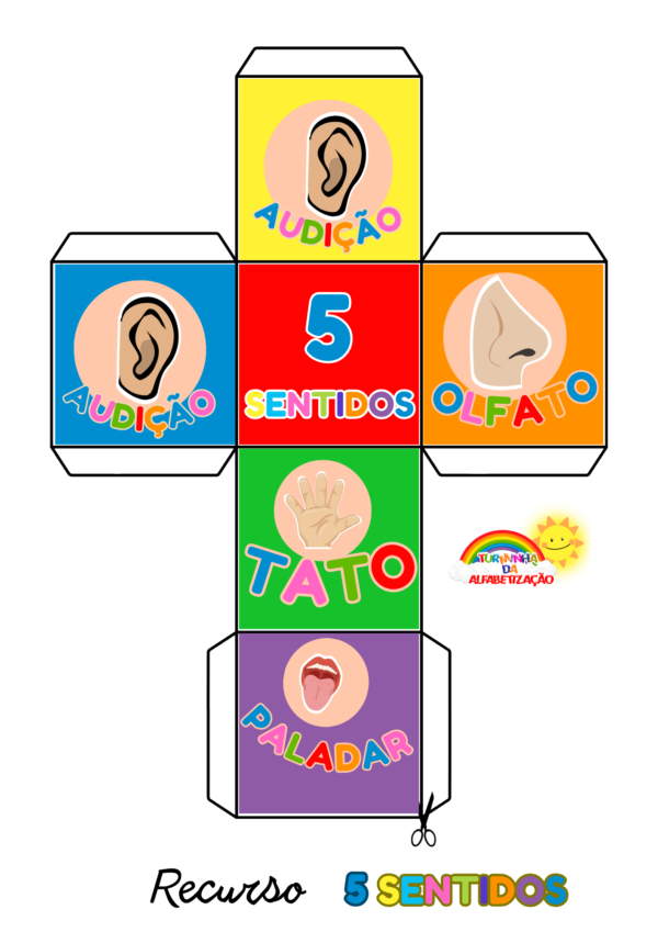 PROJETO DOS 5 SENTIDOS 👀👃👄👂✋ - Imagem 4