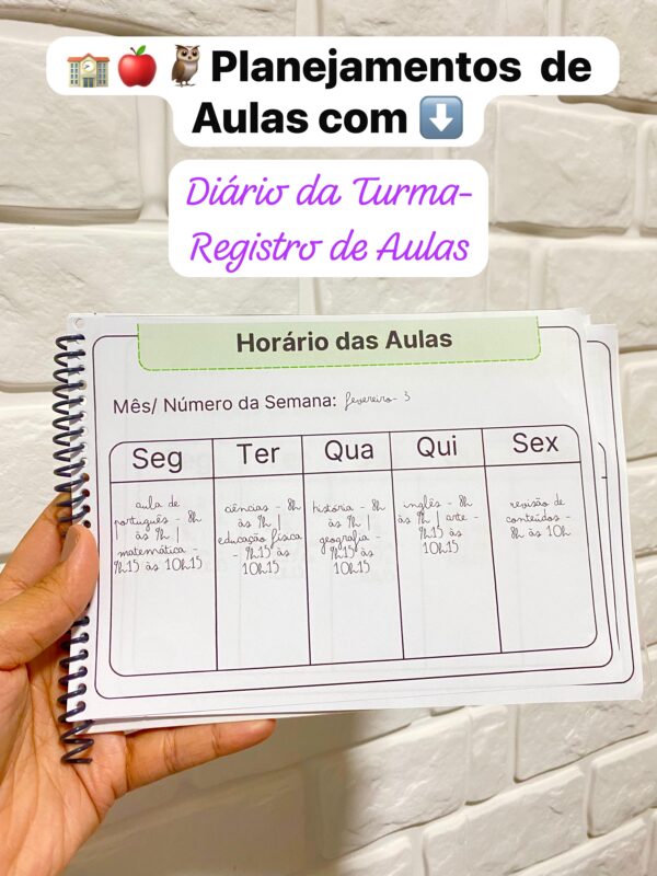 PLANEJAMENTOS DE AULAS BNCC 2025 - 3º ANO DO ENSINO FUNDAMENTAL I 📚⭐✏️🎉 - Imagem 5