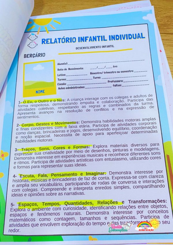 RELATÓRIO DE DESENVOLVIMENTO – EDUCAÇÃO INFANTIL E EDUCAÇÃO ESPECIAL | ATUALIZADO 2025 - Image 2