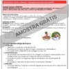 PLANEJAMENTOS DE AULAS BNCC 2025 - 1º ANO DO ENSINO FUNDAMENTAL I 📚⭐✏️🎉 - Image 28