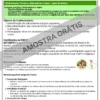 PLANEJAMENTOS DE AULAS BNCC 2025 - 4º ANO DO ENSINO FUNDAMENTAL I 📚⭐✏️🎉 - Imagem 6
