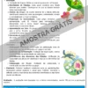 PLANEJAMENTOS DE AULAS BNCC 2025 - 4º ANO DO ENSINO FUNDAMENTAL I 📚⭐✏️🎉 - Imagem 9